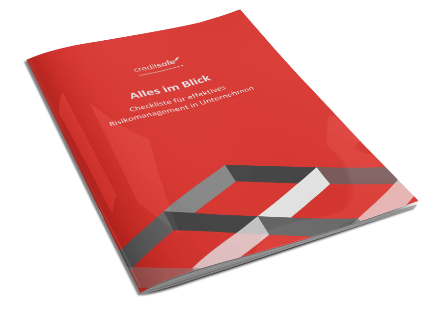 Download Risikomanagement